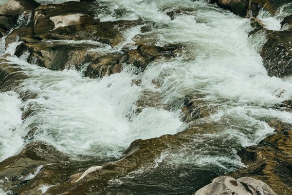 Voiture avec chauffeur à paris : luxe et confort à chaque trajet